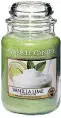  ??  ?? Yankee Candle Vanilla Lime (large), amazon.co.uk, RRP £23.99, now £17.43 SAVE: £6.56
Dr Organic Manuka Honey Face Mask