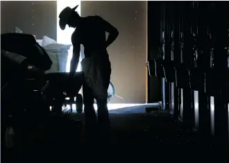  ??  ?? A cowboy does some chores in the chuckwagon barns.