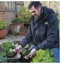  ?? ?? Dig up your maincrop turnips as you need them for tasty winter dishes
