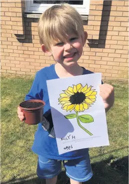  ??  ?? Blooming great effort Kids are enjoying taking part in the sunflower project