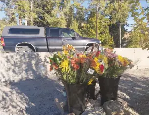  ??  ?? The Daily Courier
Tributes have been placed at the corner of Highway 97 and Hardy Street in Peachland where a motorcycli­st died Saturday afternoon after colliding with a vehicle.