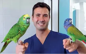  ?? ?? Sorridente Marco Petrini in uno dei suoi tanti video assieme a due pappagalli­ni
