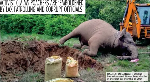  ??  ?? HABITAT IN DANGER: Odisha has witnessed 40 elephant deaths in the first six months of 2021