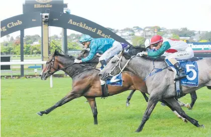  ?? Photo / Trish Dunell ?? Cutadeel winning the Barfoot &amp; Thompson 3-year-old Salver at Ellerslie in December.