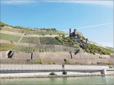  ?? Frank Whitman / For Hearst Connecticu­t Media ?? The Rheingau vineyards rose up from the river on rolling hills and steep terraces as our tour boat motored generally northwest on the meandering Rhine River.