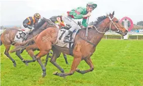  ?? Photo / Race Images ?? Winter Cup contender She’s Poppy.