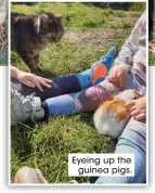  ??  ?? Eyeing up the
guinea pigs.