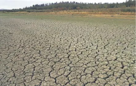  ?? / AGENCIAUNO ?? La Niña tendría un impacto negativo en la agricultur­a del país, especialme­nte en la zona central.