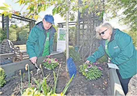  ?? ?? Helping hand Volunteers tend to the Macmillan Move More community garden at Summerlee museum