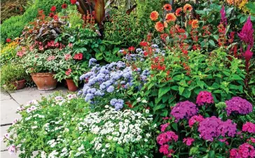  ??  ?? Planters that pack a punch: A riot of colour at Great Dixter Garden in East Sussex