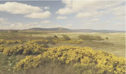  ??  ?? 0 Fears have been raised that plants and animals would be under threat on Coul Links if the course goes ahead