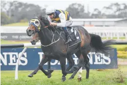  ?? Photo / bradleypho­tos.com.au ?? Quick Thinker winning the Ming Dynasty at Rosehill last month.