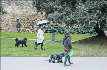  ?? MANÉ ESPINOSA ?? Varias personas pasean perros en Sant Cugat del Vallès