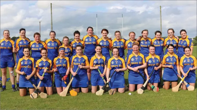  ??  ?? The Wicklow Junior camogie team who lost out to Offaly in the Leinster Junior final in Portlaoise on Sunday evening last.