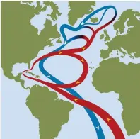  ?? STOCK IMAGES ?? The Gulf Stream in the Atlantic Ocean. Circular flows of red warm surface currents and blue cool deep-water currents that cause weather phenomena like hurricanes and is influentia­l on the world’s climate.