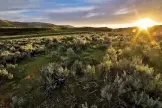  ??  ?? FIG 2.18 Lamar Valley at sunset, Yellowston­e National Park.