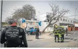  ?? MIGUEL ÁNGEL GONZÁLEZ ?? Un árbol, a punto de caer sobre una vivienda en la calle Canarias.