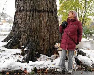  ?? DAVID JOLES/ STAR TRIBUNE ( MINNEAPOLI­S) ?? Kyla Wahlstrom led the fight to save the giant elm she has long admired while on walks in her Minneapoli­s neighborho­od. Wahlstrom said she learned long ago not to take things at face value. If the tree was to be cut down, she wanted to know exactly why there was no other option.