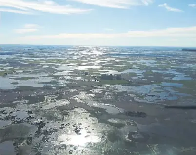  ??  ?? UN MAR. ENTRE RIOS Y EL SUR DE CORDOBA Y DE SANTA FE FUERON LAS ZONAS MAS AFECTADAS DURANTE EL OTOÑO.