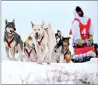  ?? The Canadian Press ?? Justin Allen and his sled dogs are pictured.