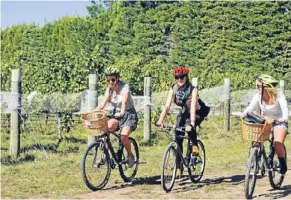  ?? Photos: LIZ LIGHT ?? Shooting through: Exploring the Martinboro­ugh wine trail by
bike.