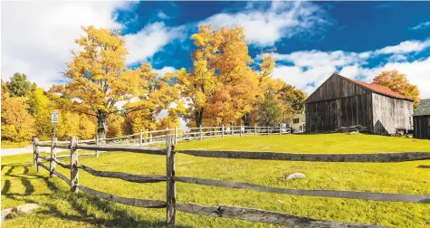  ?? Joe Sohm / Visions of America / Universal Images Group via Getty Images ?? A New England farm with is ablaze with autumn sugar maples. Below, knowing what to look for when spotting seeds and leaves is valuable when selecting the right trees for maximum foliage. Below, sugar maples are on the left, and the Norway’s leaves and seeds are on the right.