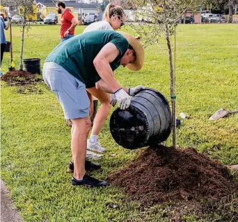  ?? Courtesy Trees For Houston ?? Trees For Houston has planted more than 740,000 trees across Greater Houston since it began in 1983. This planting season, which ended in May, the nonprofit added 60,035 trees.