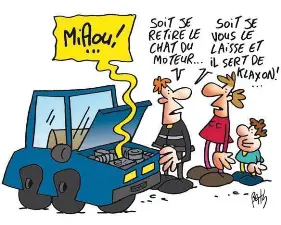 Un Chat Coince Dans Le Moteur D Une Voiture A Ete Secouru Pressreader