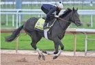  ?? JAMIE RHODES/USA TODAY SPORTS ?? Kentucky Derby entry Zandon works out Wednesday at Churchill Downs.