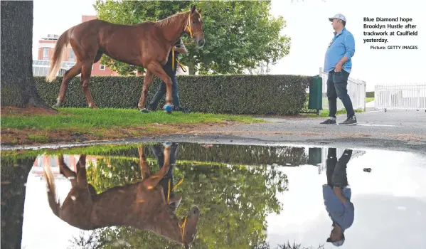  ?? Picture: GETTY IMAGES ?? Blue Diamond hope Brooklyn Hustle after trackwork at Caulfield yesterday.