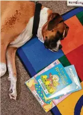  ??  ?? It didn’t take long for Baker, a boxer owned by Judith Moore, to fall asleep during Saturday’s reading session, but he quickly was awakened by two kids. Baker is part of a group of trained therapy dogs at the library to ease reading discomfort­s and encourage children in reading.
