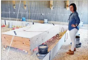  ?? STACI VANDAGRIFF/RIVER VALLEY & OZARK EDITION ?? Angela Mahan checks on the baby chicks in the brooding house at Rabbit Ridge Farms. The Mahans grew 1,000 chickens in 2017 and are on target to grow 20,000 this year as they continue to expand their poultry operation.