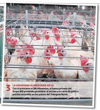  ??  ?? LA SEGURIDAD ALIMENTARI­A EN CA
Con el préstamo a CMI Alimentos, el banco privado del Grupo BID pretende garantizar el acceso a la carne de pollo a precios accesible en los países del Triángulo Norte.