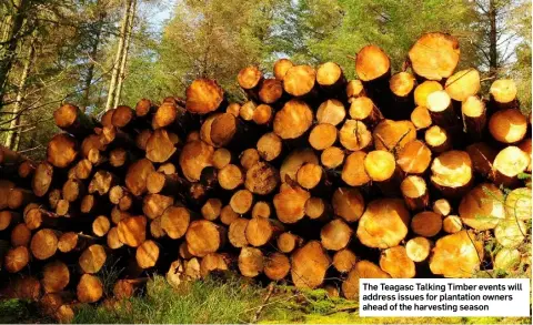  ??  ?? The Teagasc Talking Timber events will address issues for plantation owners ahead of the harvesting season