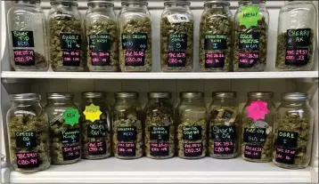  ?? ASSOCIATED PRESS ?? IN THIS 2016 FILE PHOTO, different strains of marijuana are displayed in West Salem Cannabis, a marijuana shop in Salem, Ore.