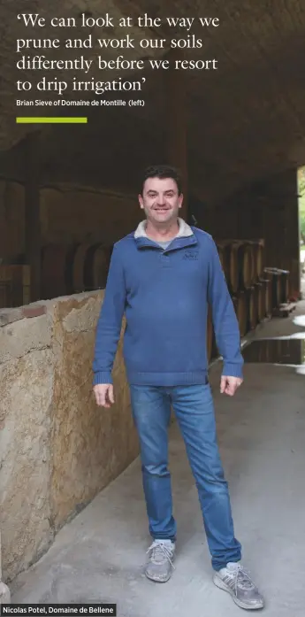  ??  ?? Nicolas Potel, Domaine de Bellene