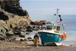  ??  ?? Records show that in October 1845, Cadgwith fishermen netted over 15 million pilchards in one day. Today’s catches are more modest