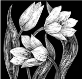  ??  ?? Skargon’s blooming Hortus engraving