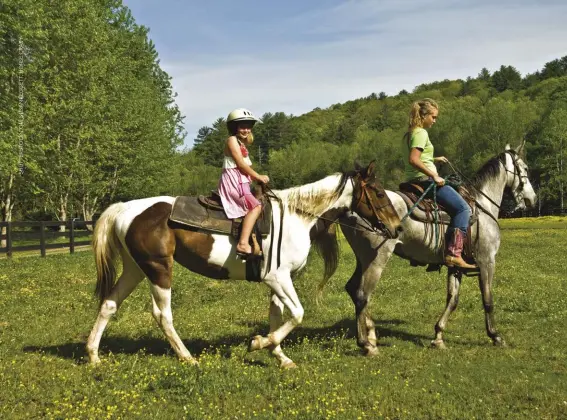  ??  ?? A horse or two on the farm can be a great addition and be a family affair.