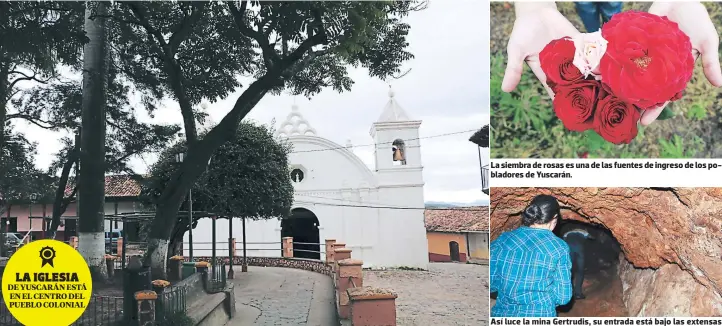  ??  ?? La siembra de rosas es una de las fuentes de ingreso de los pobladores de Yuscarán. Así luce la mina Gertrudis, su entrada está bajo las extensas raíces de un árbol, al costado de un río.