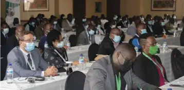  ?? ?? Delegates at the Internatio­nal Energy Conference and Expo in Victoria Falls. Pictures: Pride Tshuma