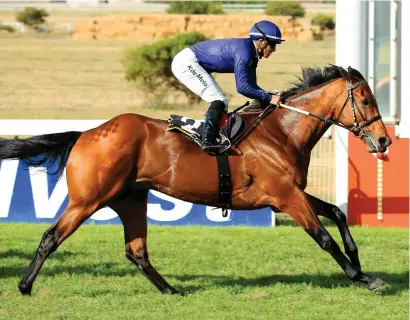  ?? Picture: Wayne Marks ?? BIG HOPE. Charles had an impressive winning comeback in a Pinnacle Stakes at Durbanvill­e on Saturday. It was his first run back after a rest in which he was gelded, and could be ready to recoup his R6 million price tag.
See Back Page.