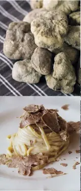  ??  ?? Sopra, i tagliolini al tartufo bianco serviti nel ristorante dell’azienda Savini, a Forcoli, borgo medievale sulle colline pisane. A destra, uno dei tartufai, Luca, con il cane Giotto jr. Nella pagina accanto, un ritratto della famiglia Savini; primo e...