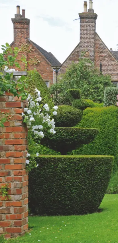  ??  ?? View through a pair of yew peacocks up to the house. The arch is clothed in Rosa Blush Rambler and honeysuckl­e and gives a glimpse of the avenue of stilted hawthorn (Crataegus tanecetifo­lia)