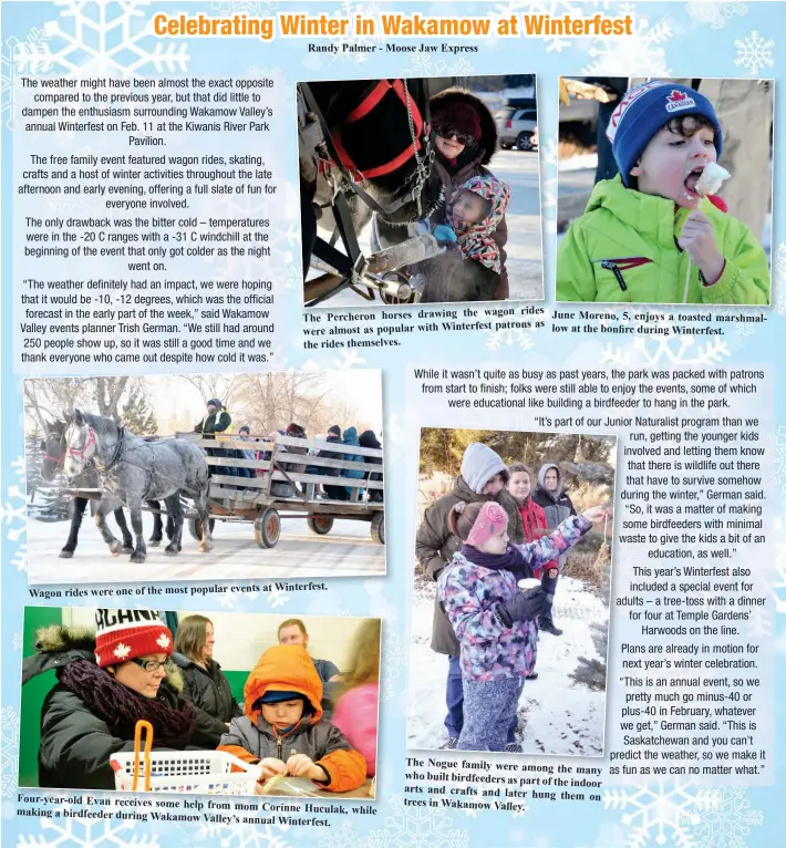  ??  ?? Randy Palmer - Moose Jaw Express the wagon rides The Percheron horses drawing patrons as were almost as popular with Winterfest the rides themselves. at Winterfest. Wagon rides were one of the most popular events Four-year-old Evan receives some help...