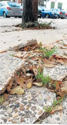  ?? JESÚS MARÍN ?? Un tramo de acerado localizado en la Barriada de La Paz.