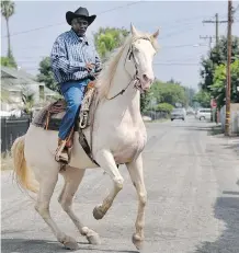  ?? RICHARD VOGEL/ THE ASSOCIATED PRESS ?? Cowboy and horse trainer Ivory McCloud proudly rides Diamond down a street in Compton, Calif. Compton, despite its era of drive-by shootings, has a long equestrian history.