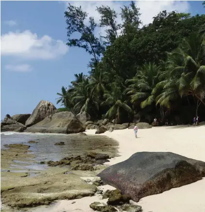  ??  ?? Keine Fototapete, sondern Realität: ein Strand auf der Seychellen-Insel Silhouette.