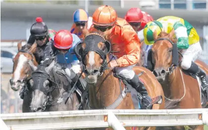  ?? Photo / Trish Dunell ?? The race is on for TAB NZ to return millions more in stakes to the codes.