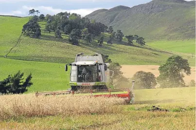  ??  ?? A harvest of oats under way in the Sidlaw Hills near Abernyte. Picture: Morag Doig.